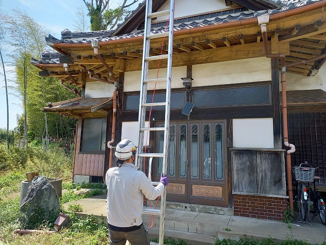 ハシゴをかける調査スタッフ